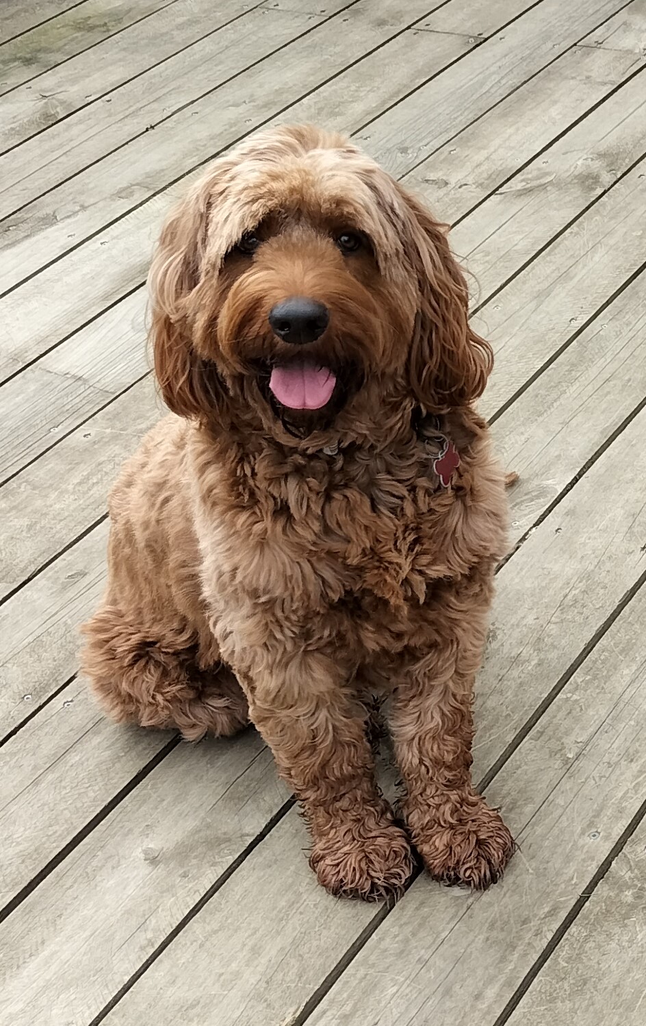 Ruby